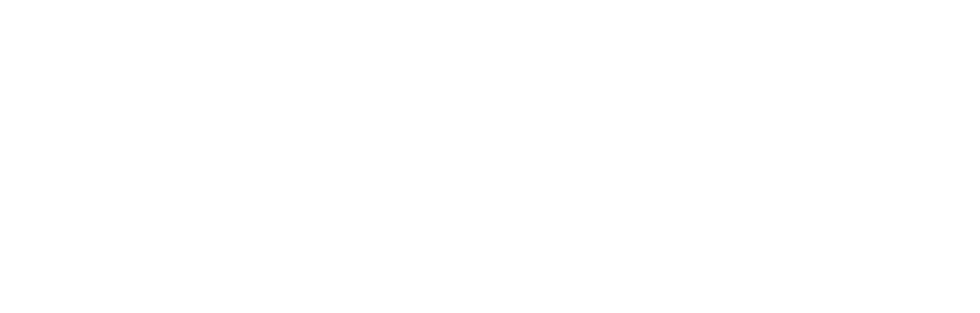 Pynx DJ Services Pulse Show